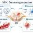joint-repair-stem-cell-therapy